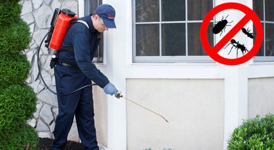 Çaykara Akrep İlaçlama böcek ilaçlama ve haşere kontrolü — ilaclama-tr.com